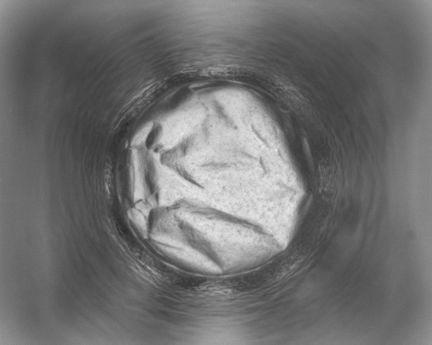 X0000054360648200508262316