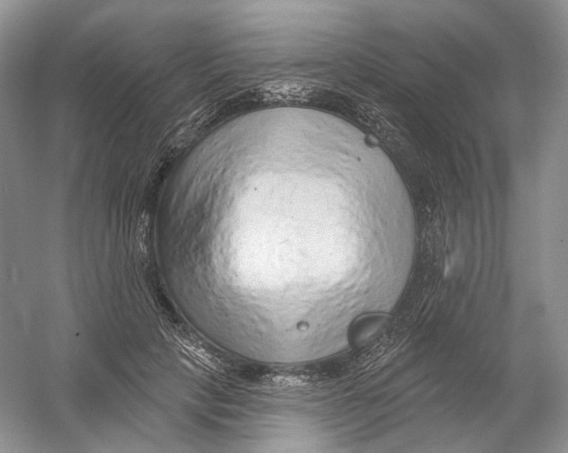 X0000054360649200508262316