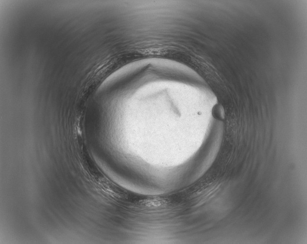 X0000054360652200508262316