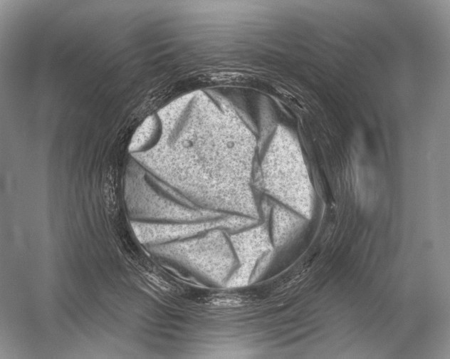 X0000054360653200508262316