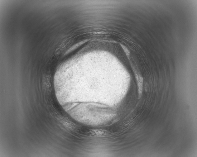 X0000054360654200508262316