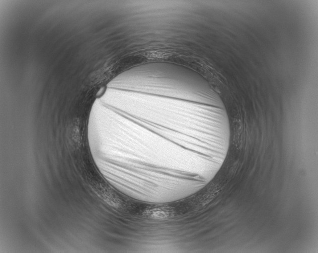 X0000054360655200508262316