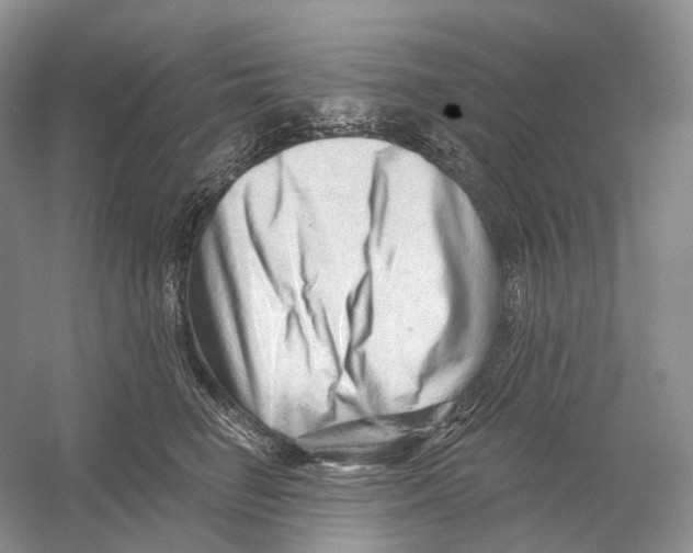 X0000054360662200508262316