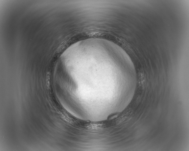 X0000054360664200508262316