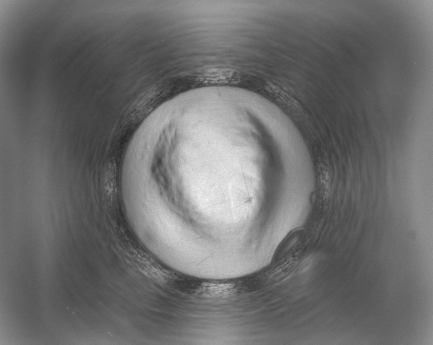 X0000054360665200508262316