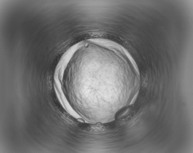 X0000054360666200508262316