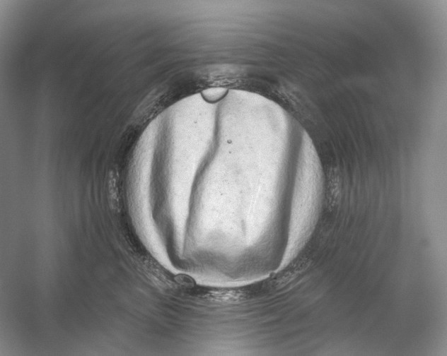 X0000054360667200508262316