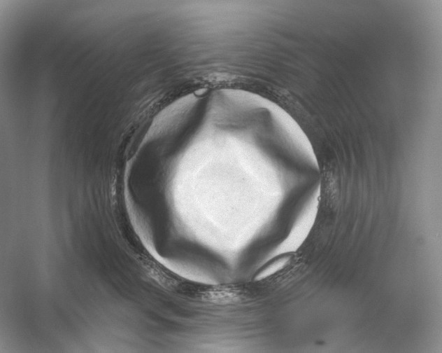 X0000054360668200508262316