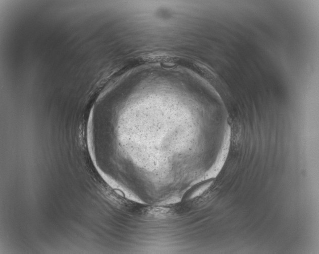 X0000054360669200508262316