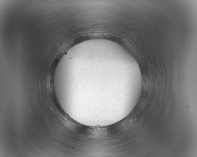 X0000054360670200508262316