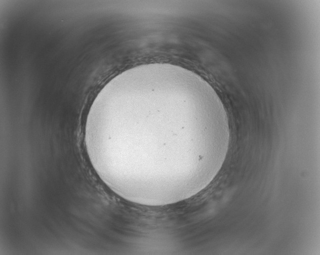 X0000054360672200508262316
