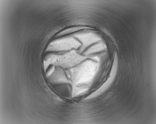 X0000054360673200508262315