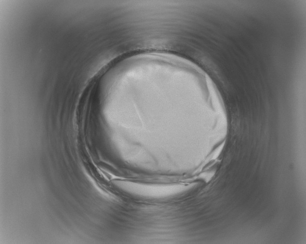 X0000054360674200508262315