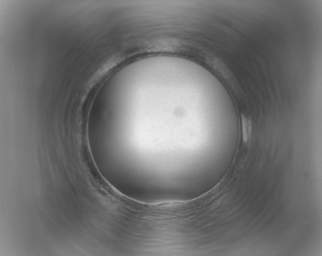 X0000054360675200508262315
