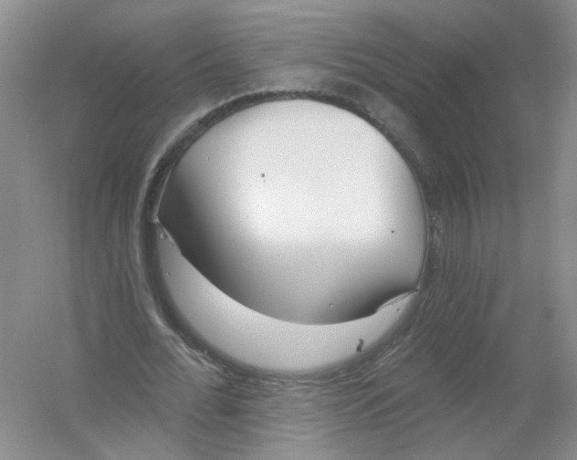 X0000054360676200508262315