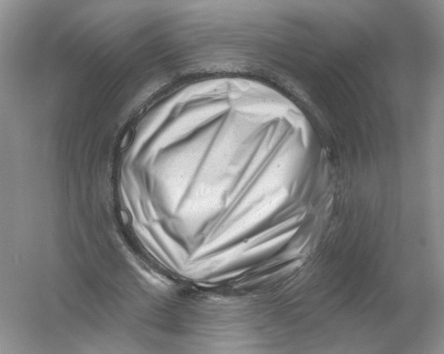 X0000054360677200508262315