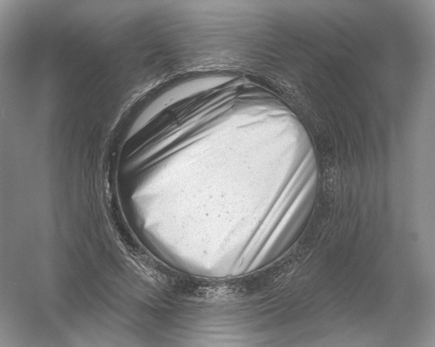 X0000054360688200508262315