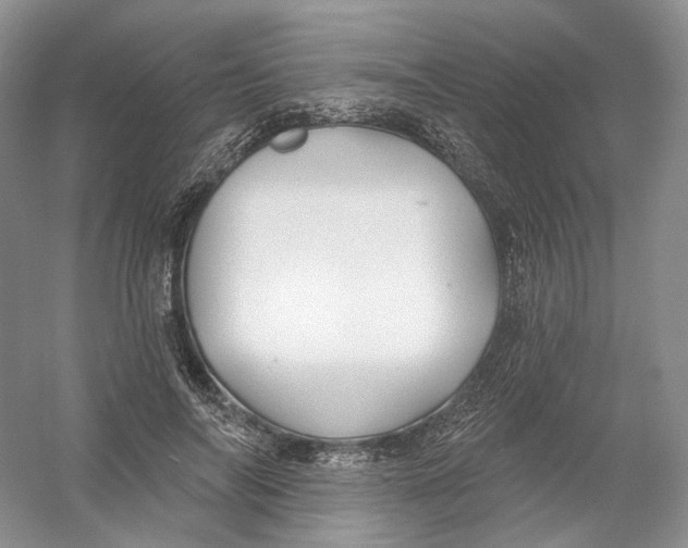 X0000054360694200508262315