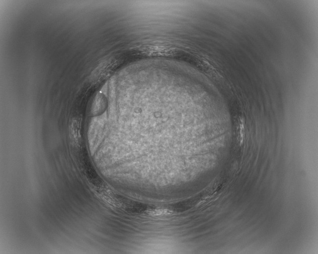 X0000054360695200508262315