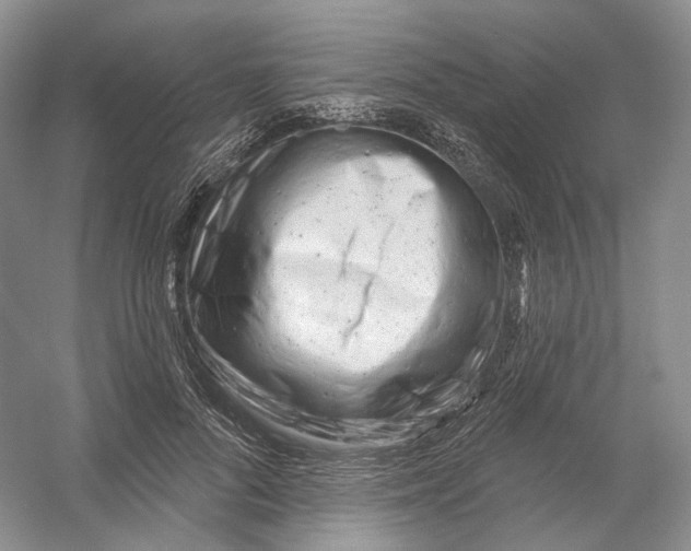 X0000054360696200508262315