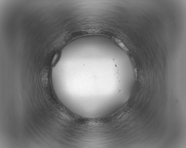 X0000054360697200508262315