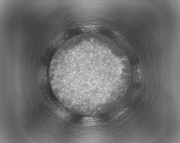 X0000054360699200508262315