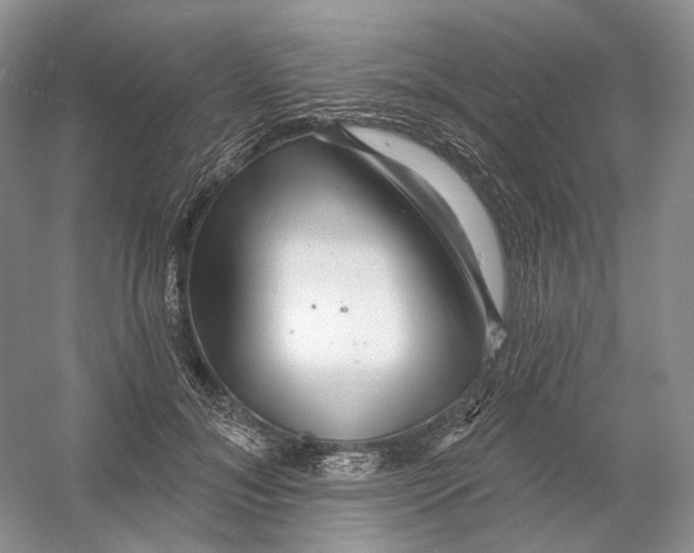 X0000054360700200508262315