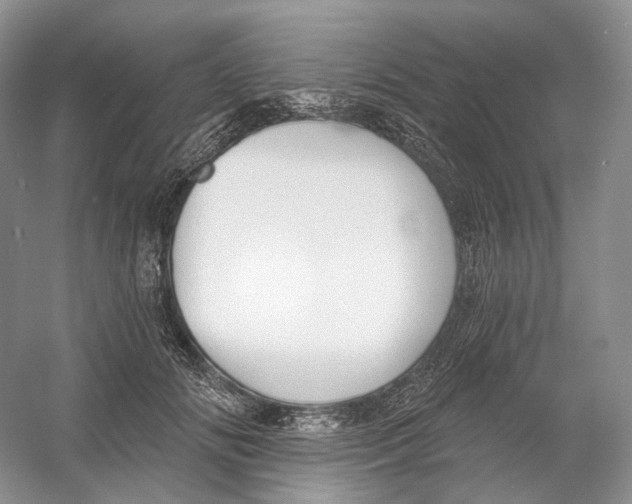 X0000054360702200508262315
