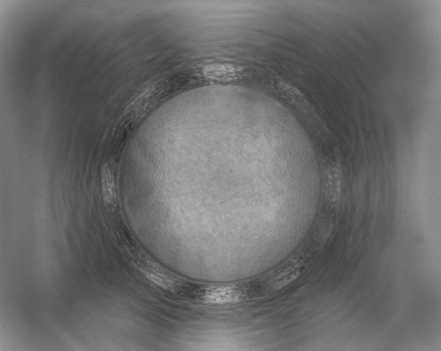 X0000054360705200508262315