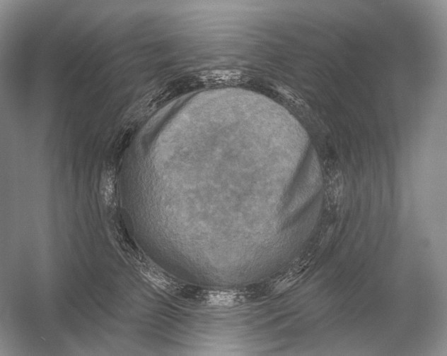 X0000054360709200508262315