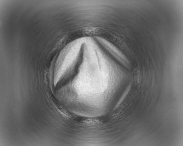 X0000054360712200508262315
