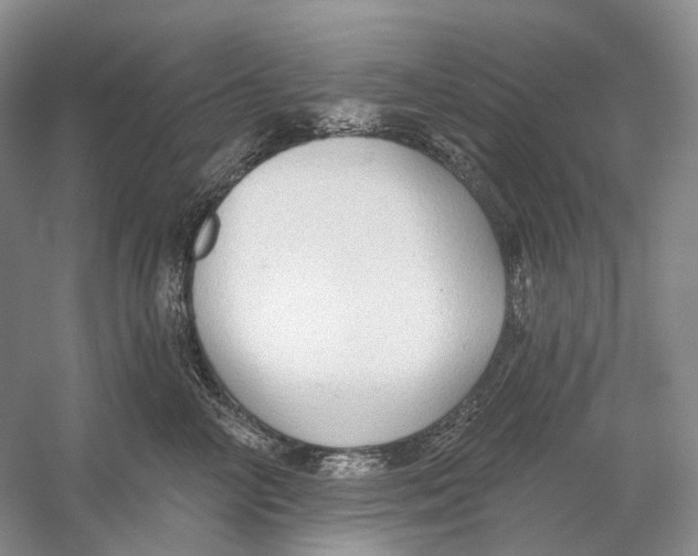 X0000054360714200508262315