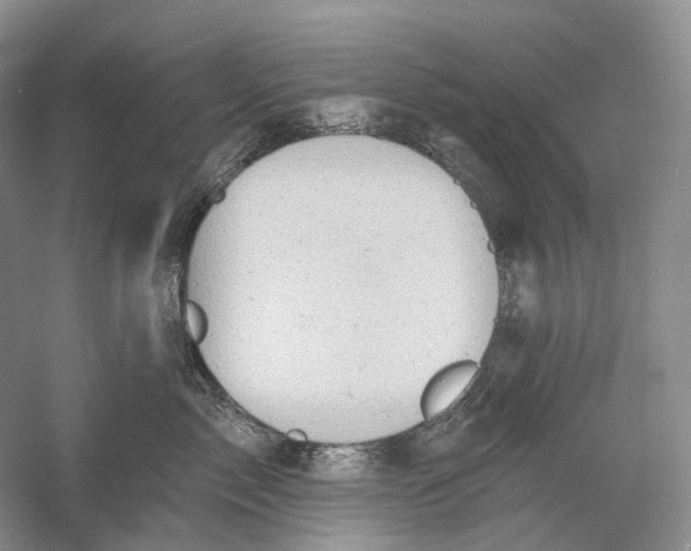 X0000054360717200508262315