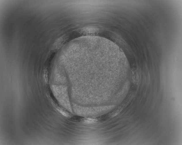 X0000054360718200508262315