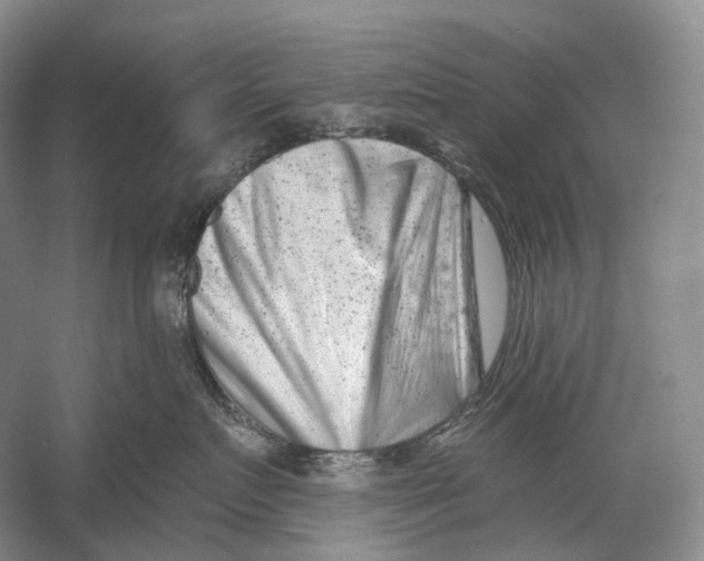 X0000054360719200508262315