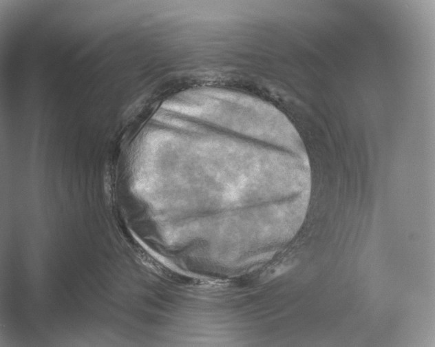 X0000054360720200508262315