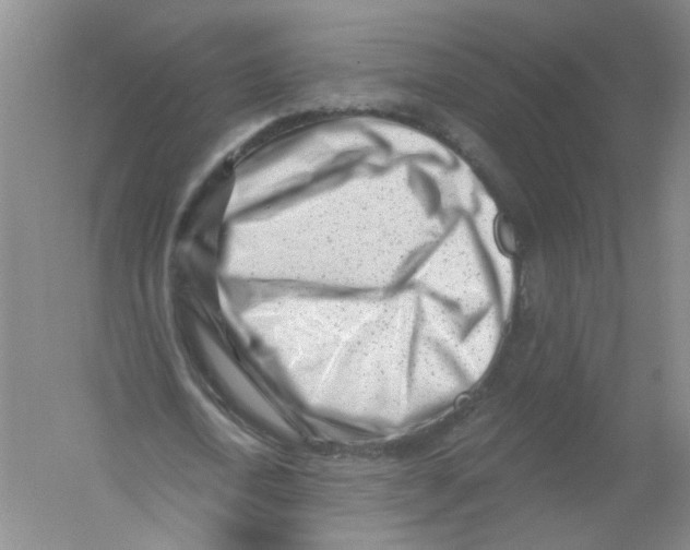 X0000054360722200508262314