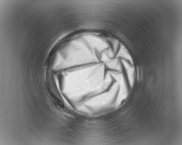 X0000054360723200508262314