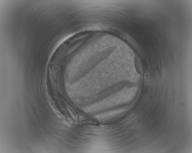 X0000054360724200508262314