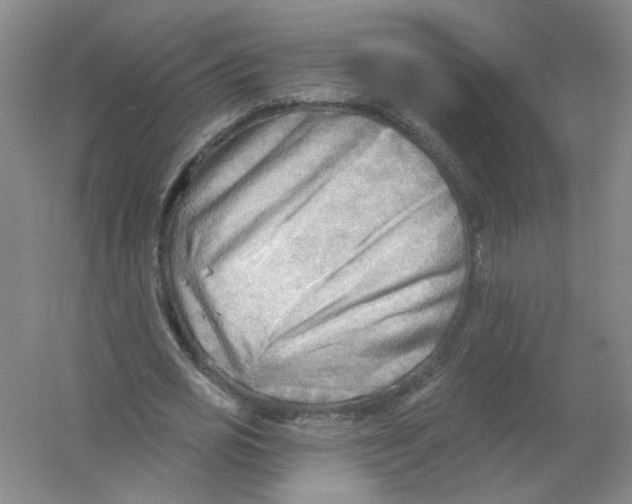 X0000054360725200508262314