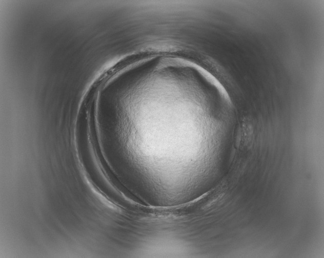 X0000054360726200508262314