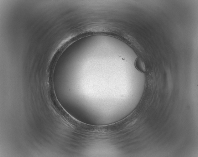 X0000054360727200508262314