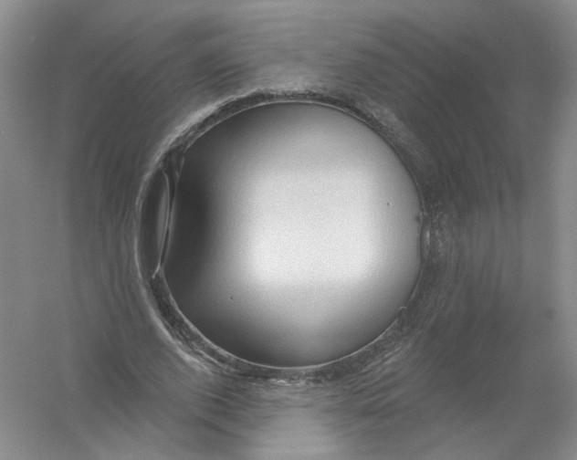 X0000054360728200508262314