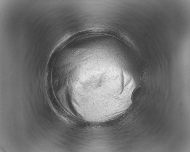 X0000054360730200508262314
