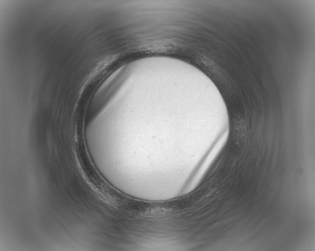 X0000054360734200508262314