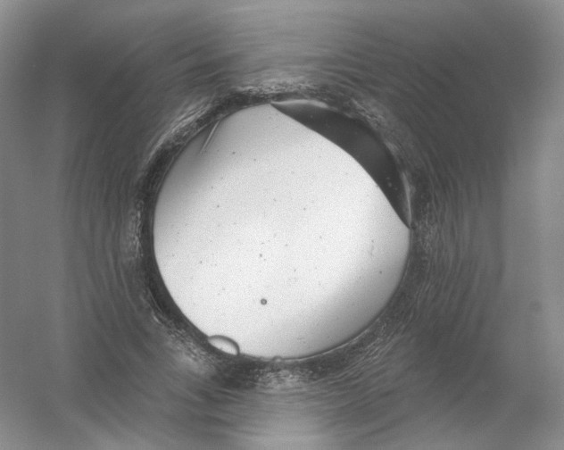 X0000054360735200508262314
