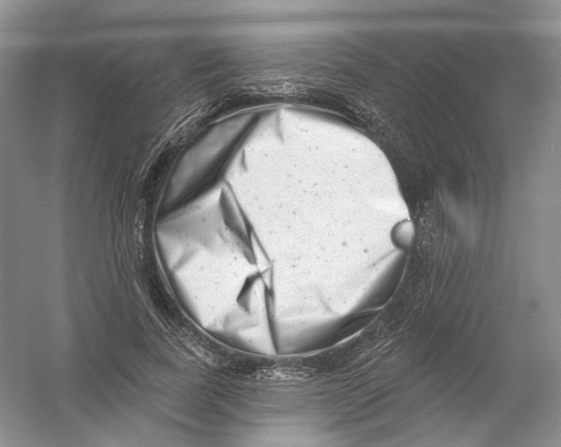 X0000054360739200508262314