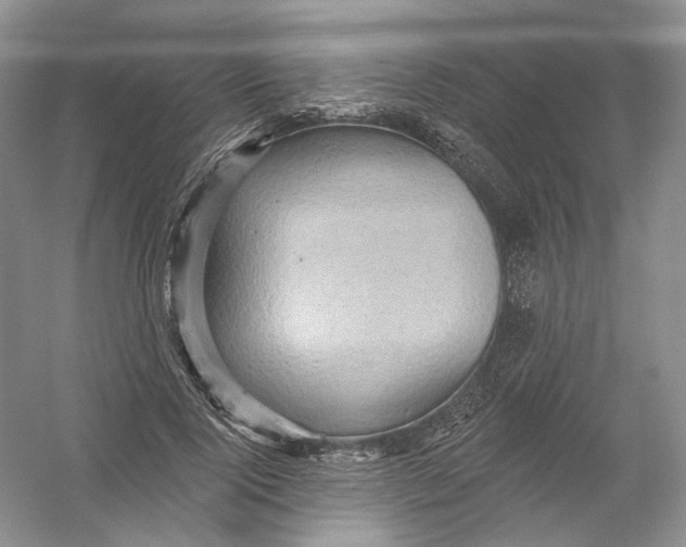 X0000054360740200508262314