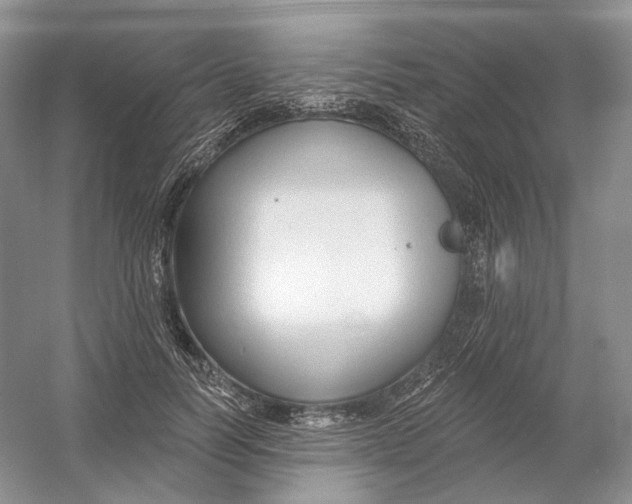 X0000054360746200508262314