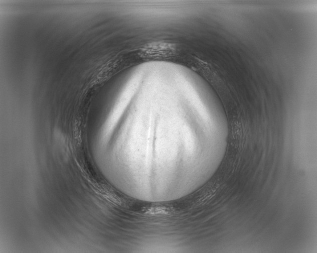 X0000054360751200508262314